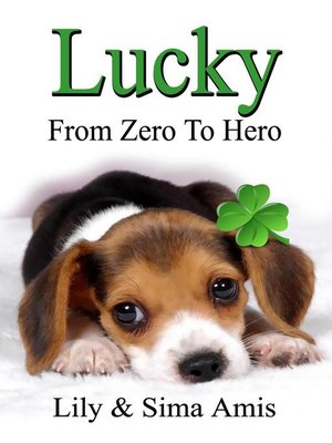 cover image of Lucky--From Zero to Hero